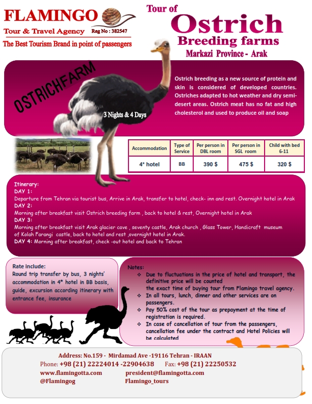 Ostrich breeding farm